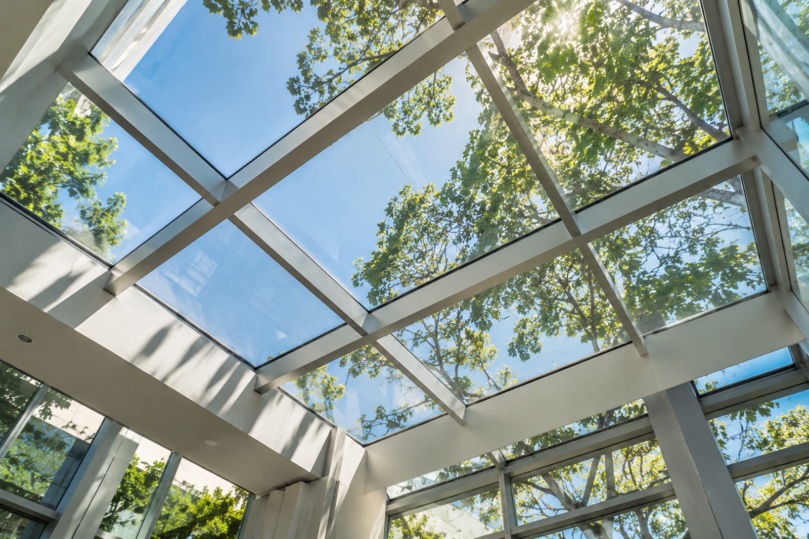 Looking up through a sunlit atrium skylight with clean glass and tree branches beyond, strong geometry